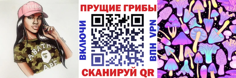 Псилоцибиновые грибы прущие грибы  Моршанск 
