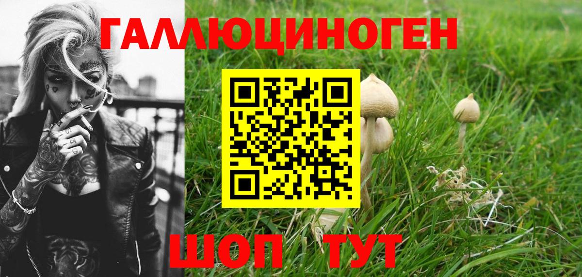 Бошки Шишки Моршанск