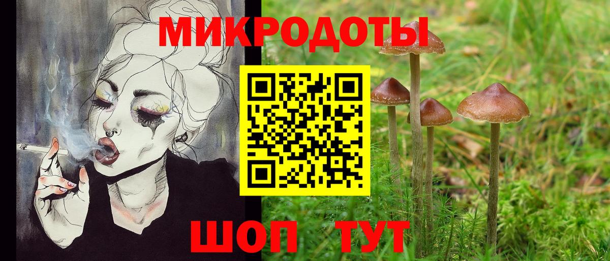 Моршанск  Псилоцибиновые грибы MAGIC MUSHROOMS  Вход с VPN 