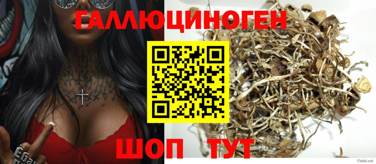 Псилоцибиновые грибы мицелий  Моршанск 